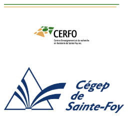 CERFO Logo